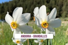 Andorra-Grandalles
